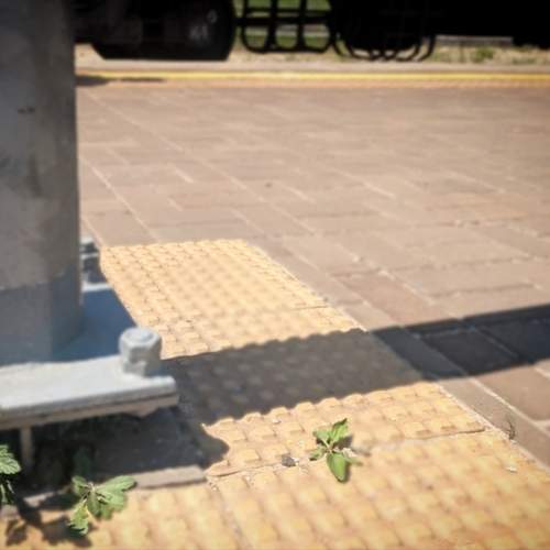 Photo #13643238
