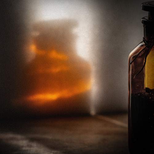 Photo #13643290