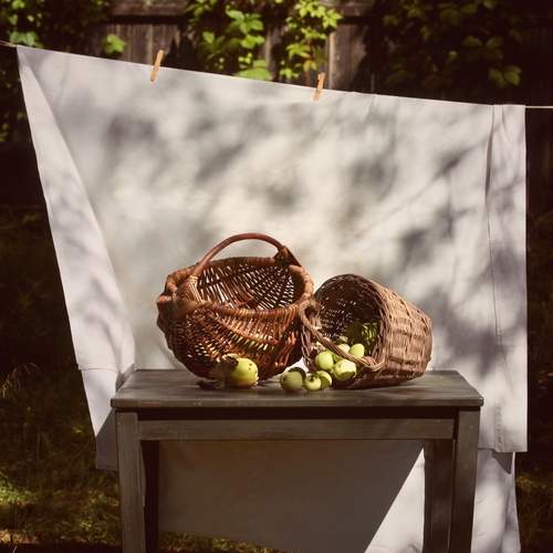Photo #13643398