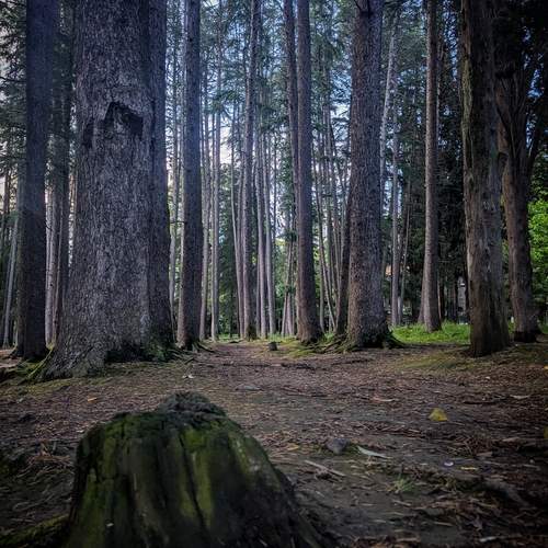 Photo #13643428