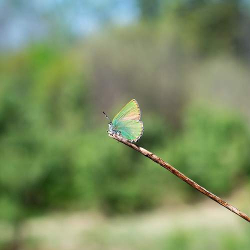 Photo #13643550
