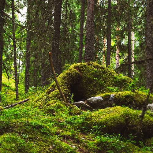 Photo #13643582