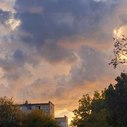 Photo #13643601