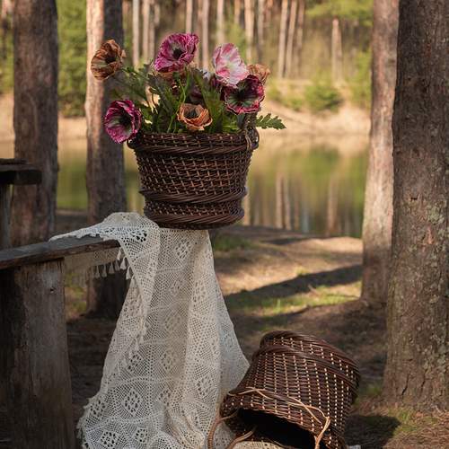 Photo #13643628