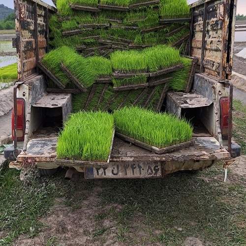 Photo #13643719