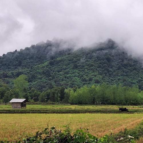 Photo #13643721
