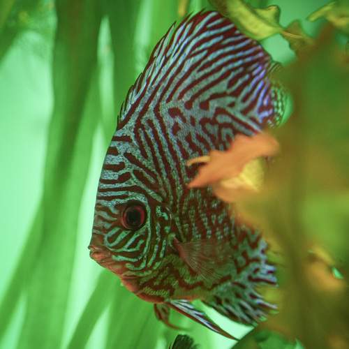 Photo #13643729