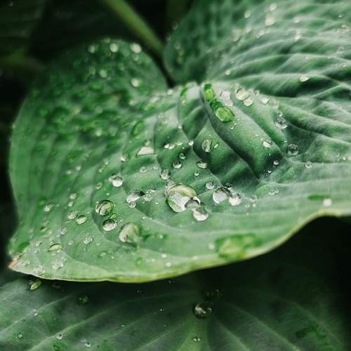 Photo #13643769