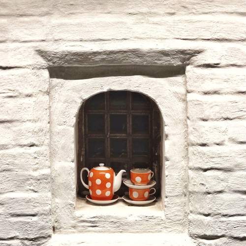Photo #13643778