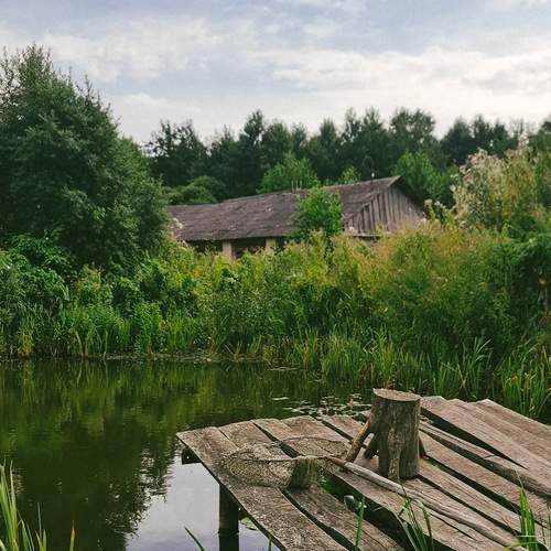 Photo #13643786