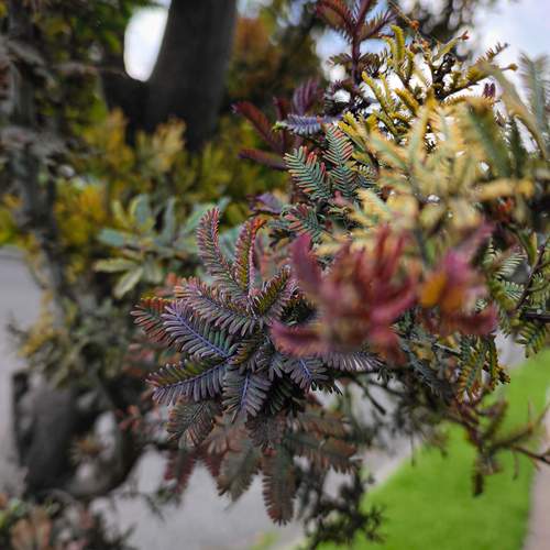 Photo #13643792