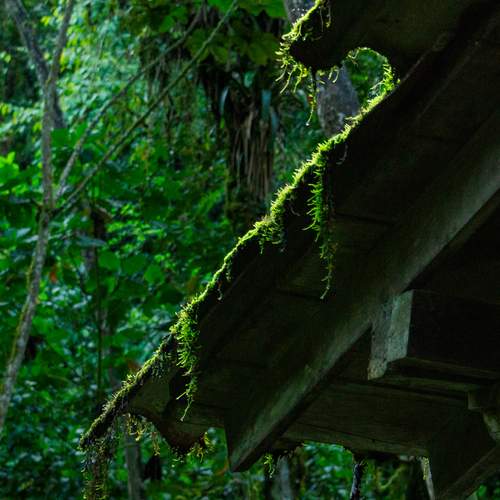Photo #13643813