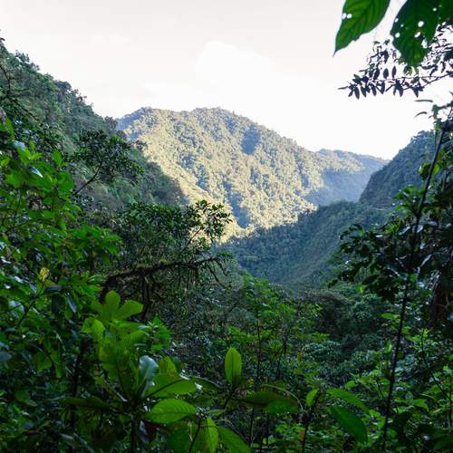 Photo #13643815