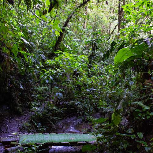 Photo #13643816