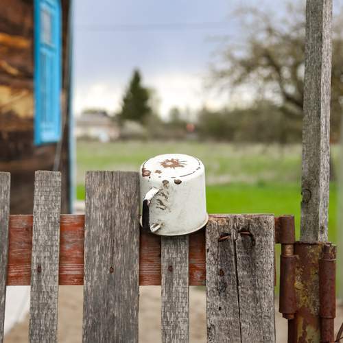 Photo #13643873