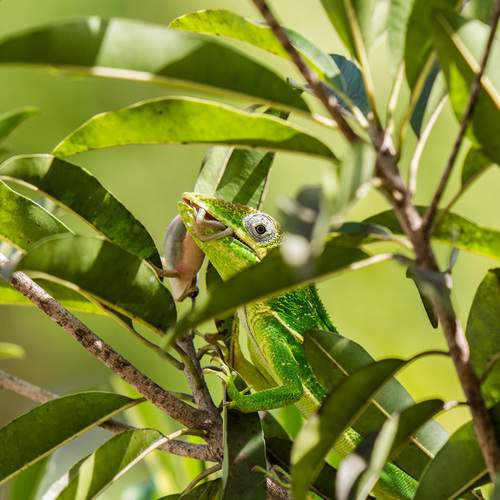 Photo #13643902