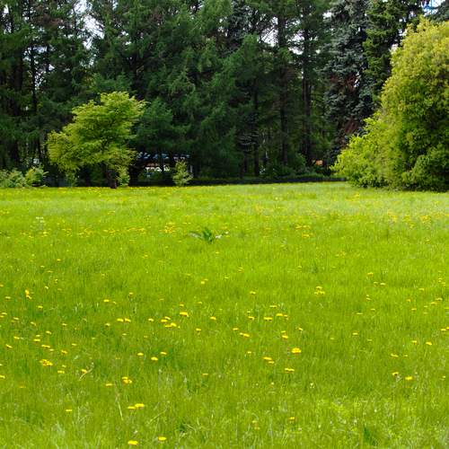 Photo #13643907