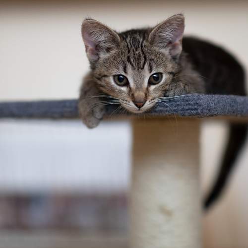 Photo #13643947