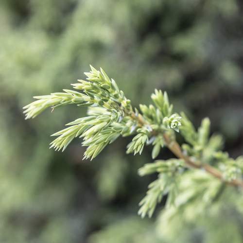 Photo #13644043