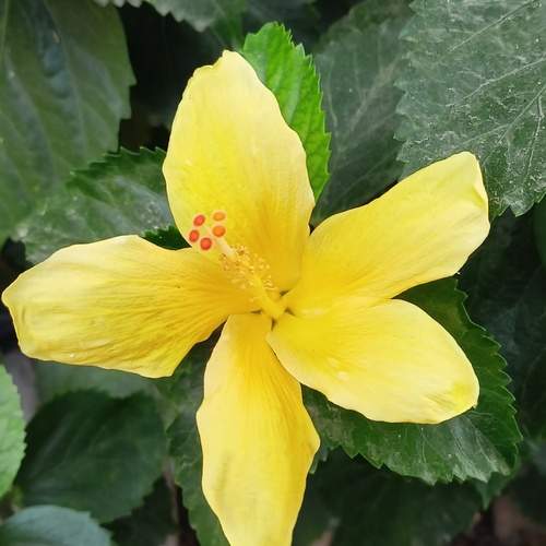Photo #13644192