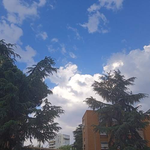 Photo #13644205