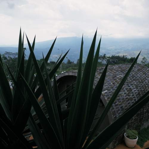Photo #13644226