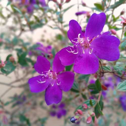 Photo #13644237