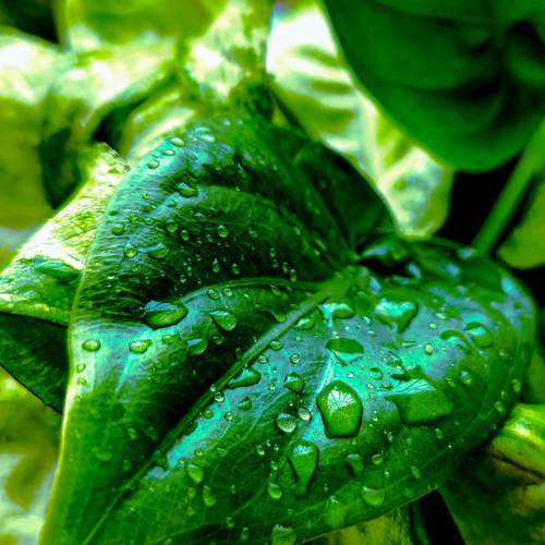 Photo #13644320