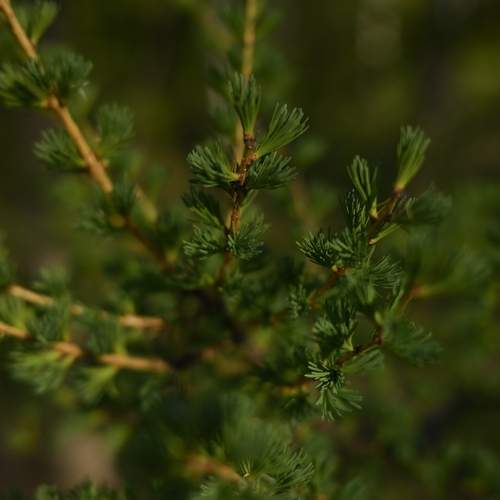 Photo #13644360