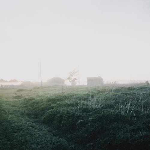 Photo #13644372