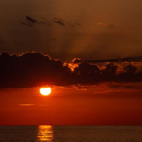 Photo #13644417