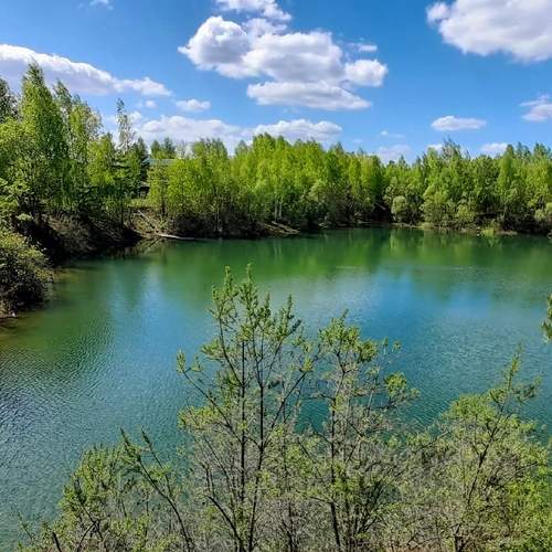 Photo #13644492