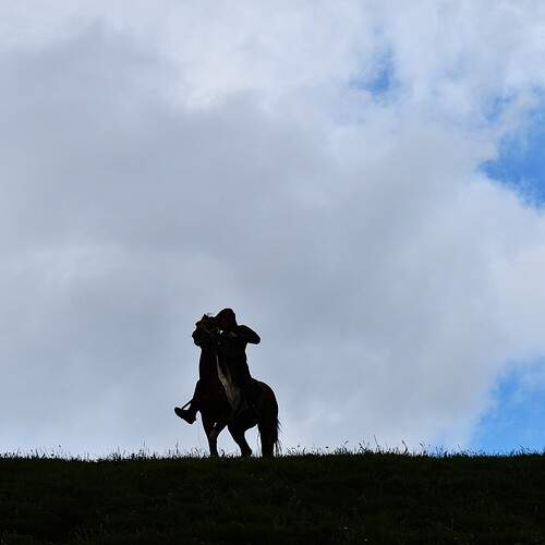 Photo #13644592