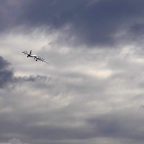 Photo #13644632