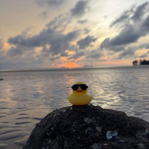 Photo #13644643