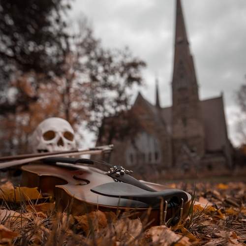 Photo #13644758