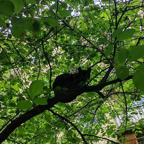 Photo #13644779