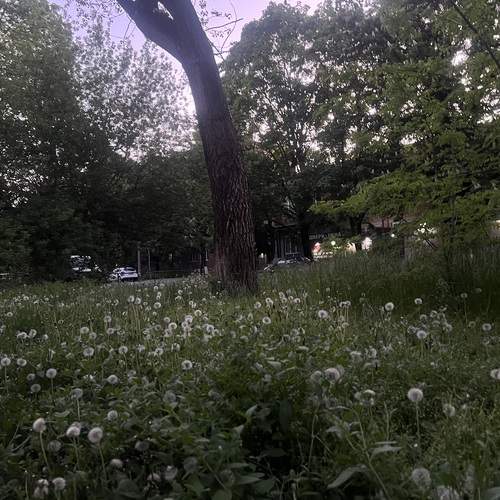 Photo #13644888