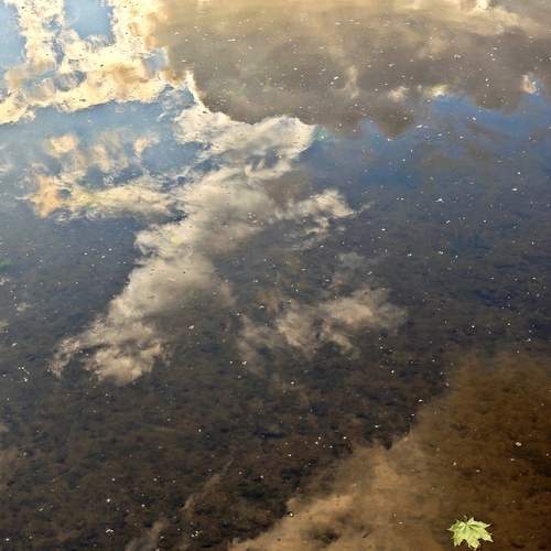 Photo #13644893
