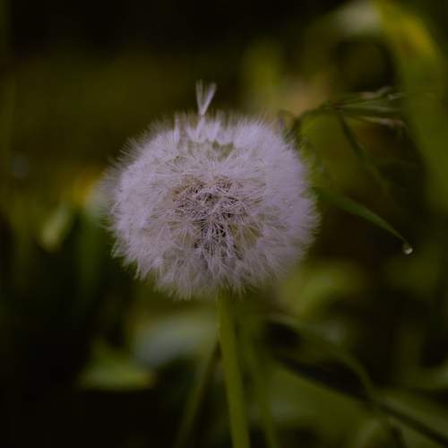 Photo #13644905