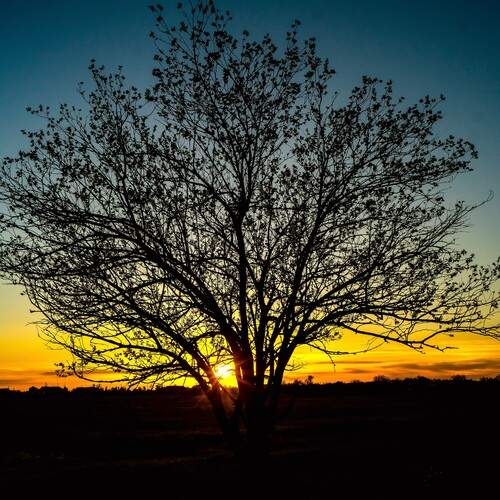 Photo #13644910