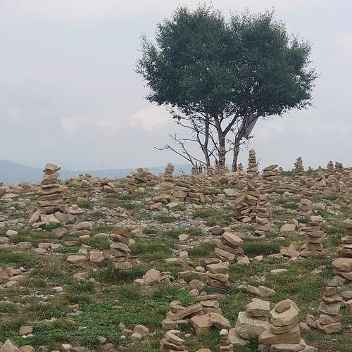 Photo #13644919