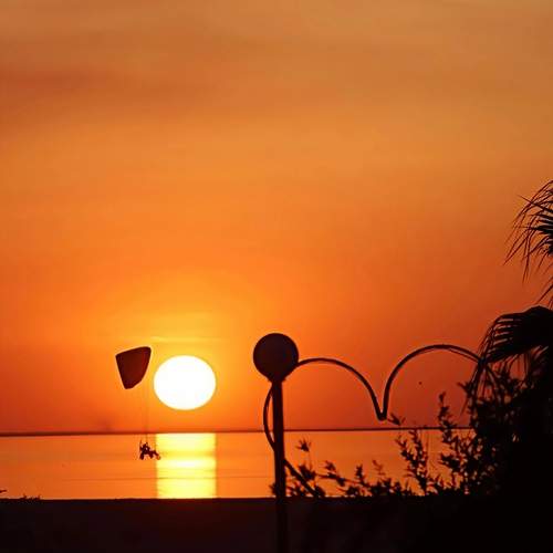 Photo #13644964
