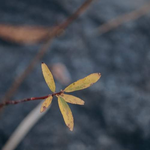 Photo #13644969