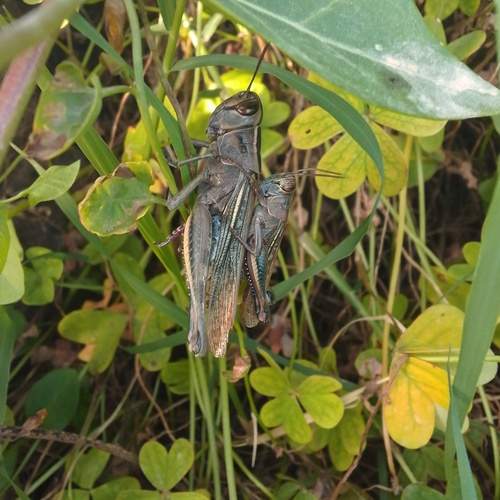 Photo #13644980