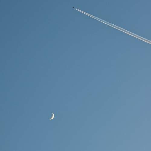 Photo #13645008