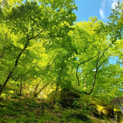 Photo #13645024