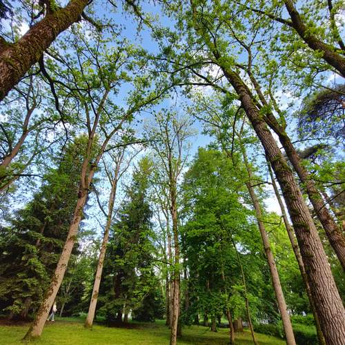 Photo #13645039