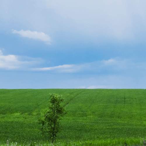 Photo #13645056