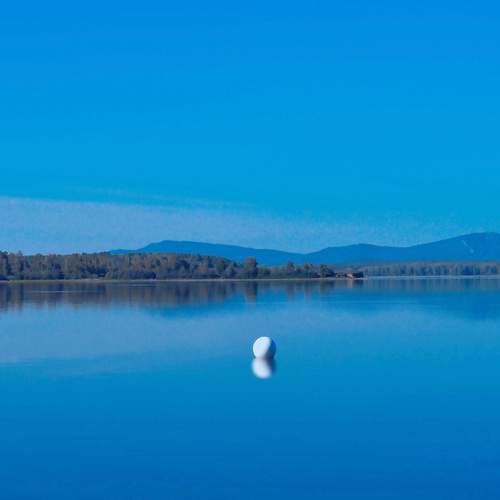 Photo #13645134